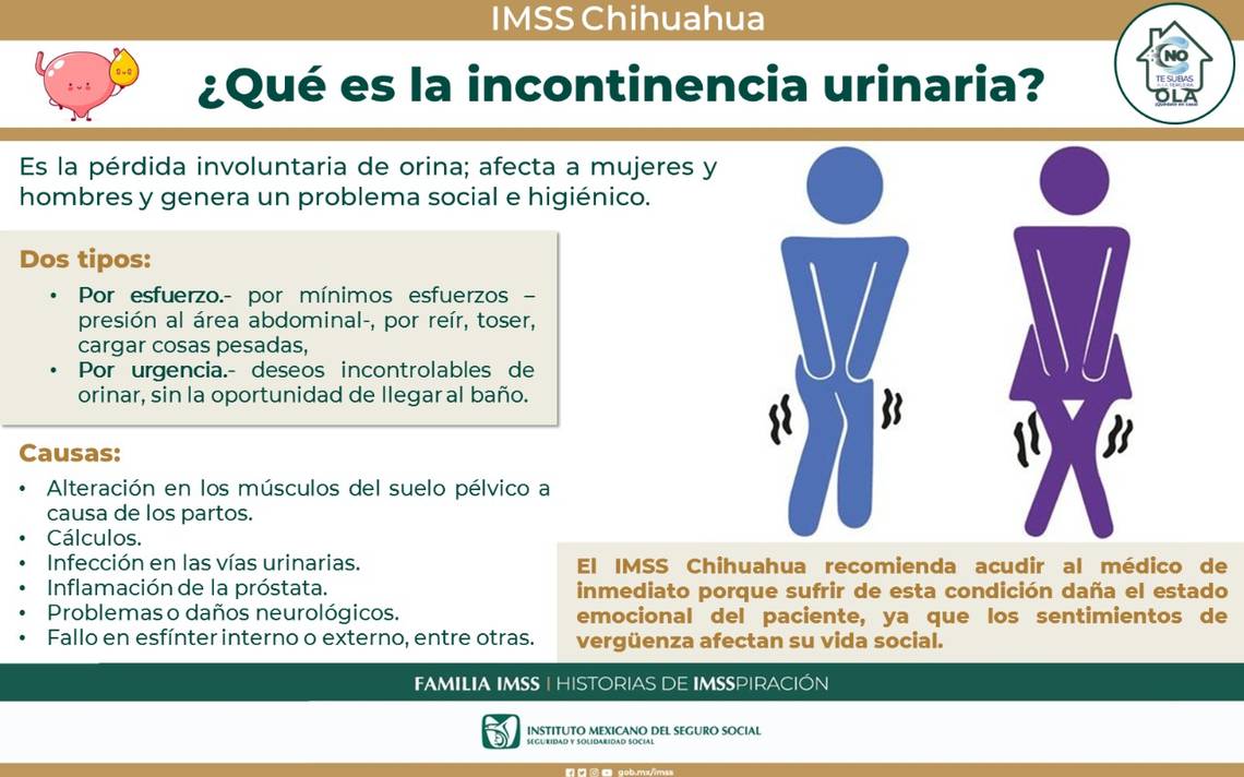 Incontinencia Urinaria Problema Frecuente Que Debe Ser Atendido Imss Instituto Mexicano Del